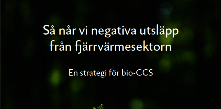 Csm Strategi Bio Ccs