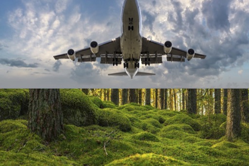 Hållbar Konsumtion Collage